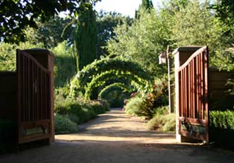 When Poverty Prohibits Conservation Image